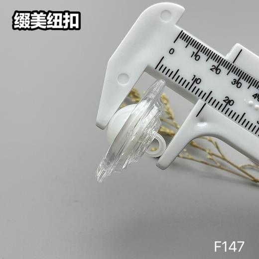 F147(整包购买) 商品图9