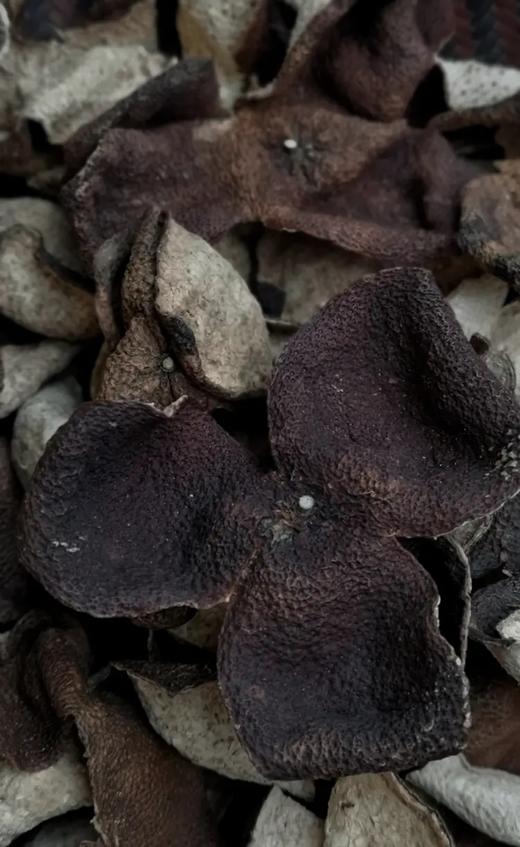 2012年 正宗新会 东甲陈皮（红陈皮150g/罐） 商品图3