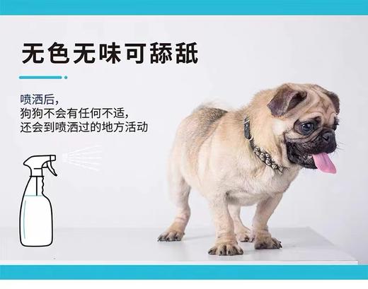 味之洁Fizzion宠物消毒室内生物酶除臭猫狗尿除味剂被子沙发去味（送喷壶） 商品图3