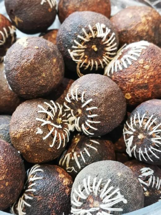 2015年 正宗新会梅江大红陈皮柑 （散装500g 密封袋包装） 商品图3