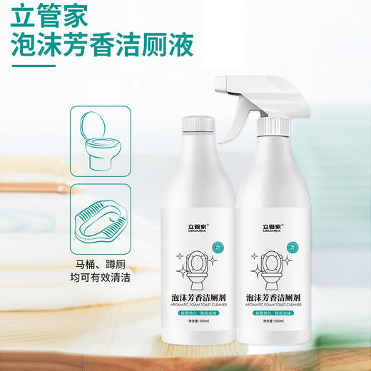 【买1赠1】立管家泡沫芳香洁厕液清洁剂马桶清洁剂除味剂 商品图1