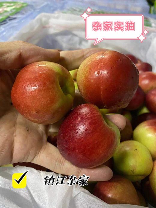 珍珠枣油桃2号简介图片