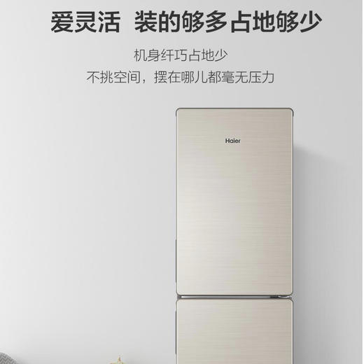 海尔（Haier）冰箱BCD-188WDPS 商品图8