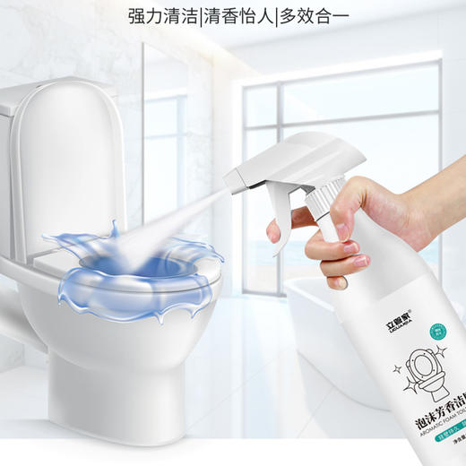 【买1赠1】立管家泡沫芳香洁厕液清洁剂马桶清洁剂除味剂 商品图2