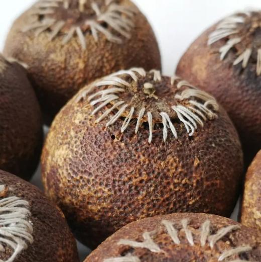 2017年 正宗新会梅江大红陈皮柑 （散装500g 密封袋包装） 商品图1