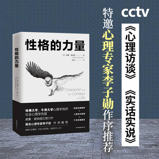 性格的力量 心理学书籍社会心理学畅销心理学书突破自我格局提升性格魅力人际优势内在潜能成就非凡人生成功励志 商品图2