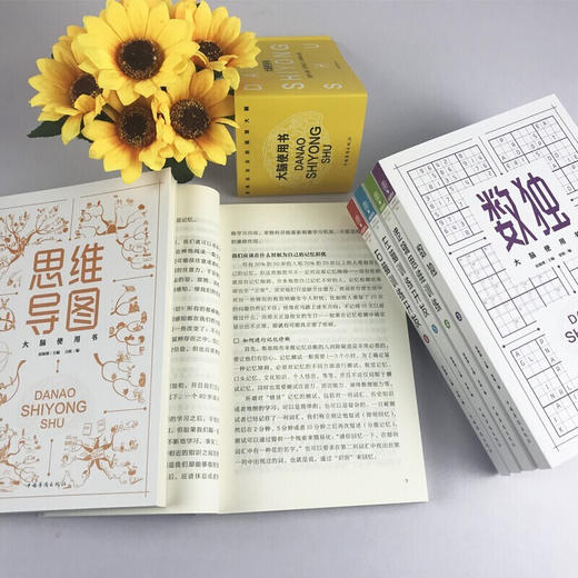 【套装】6册超级记忆术思维导图数独九宫格儿童中小学生入门游戏逻辑思维左右脑记观察记忆专注力训练开发大全集正版 商品图3