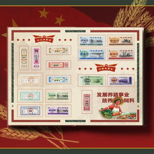 特价预定！中国票证大全281张珍藏册 全国包邮 商品图2
