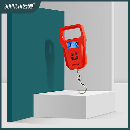 【网红随手精准电子称 不怕缺斤短两】迷你远驰手提秤50斤电子秤 商品图4