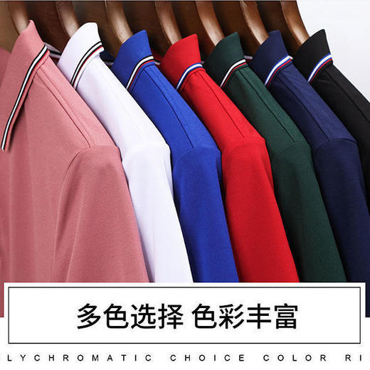 TZW-男士短袖polo衫棉质休闲翻领t恤 商品图1