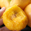 『沂蒙山黄金油桃』现摘现发，桃香浓郁，细嫩多汁 商品缩略图4