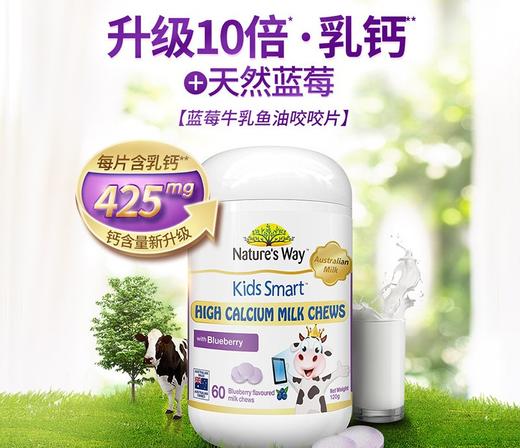 澳大利亚Kids Smart佳思敏儿童蓝莓高钙牛乳咬咬片 商品图0