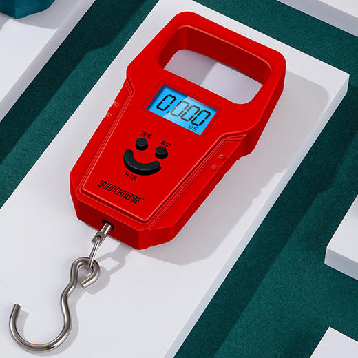 【网红随手精准电子称 不怕缺斤短两】迷你远驰手提秤50斤电子秤 商品图0