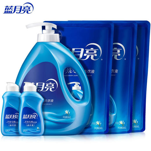 蓝月亮洗衣液 内衣洗衣液 手洗专用洗衣液 按压泵头 温和易漂 家庭超值套装4.16kg（风清白兰） 商品图0