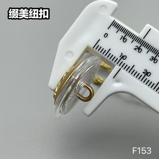 F153(整包购买) 商品图5