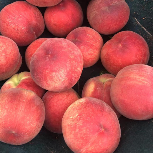 【深州水蜜桃】约5斤/箱/12枚，国家地理标志产品 商品图4