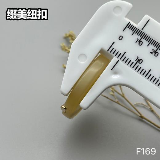 F169(整包购买) 商品图9