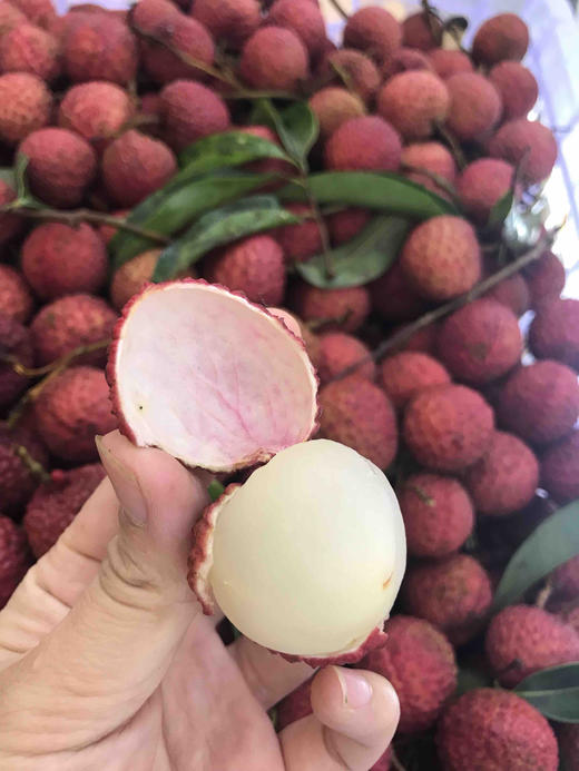 宏丰精选 玉荷包荔枝 口感纯甜 荔枝味超浓