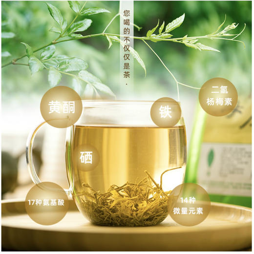 莓茶｜张家界特产～野生茅岩莓茶，土家甘露，神仙草，享有“长寿神茶”之称。2010年11月15日，原中华人民共和国农业部批准对"茅岩莓茶"实施农产品地理标志登记保护。简易包装，净含量200g 商品图2