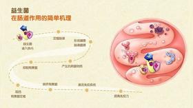  【一图读懂】“小菌株，大作为”，不可忽视的益生菌潜力 