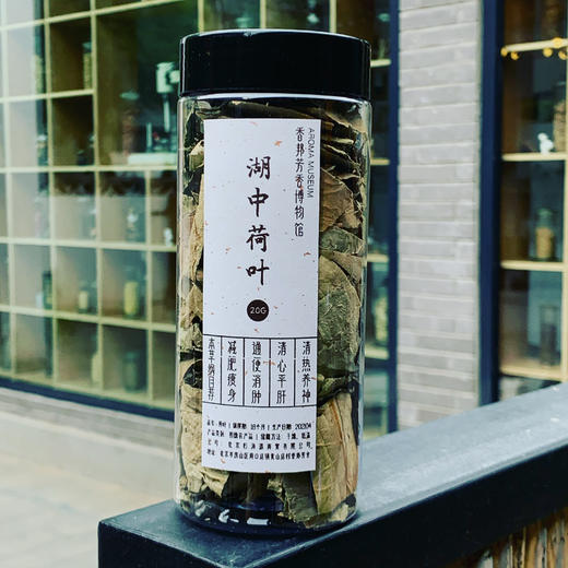 【芳香博物馆系列】苏叶｜荷叶｜白茅根｜芦根｜蒲公英 商品图3