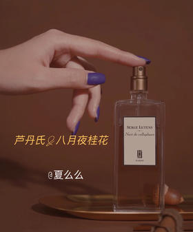 芦丹氏&八月夜桂花