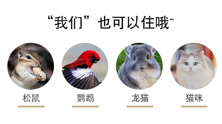 O1CN01UTWKDR1Hl4IamoUSr_!!2086