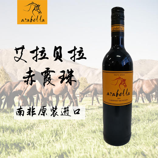 （750ml*6瓶装）南非葡萄酒艾拉贝拉Arabella红酒原瓶原装南非进口 商品图7