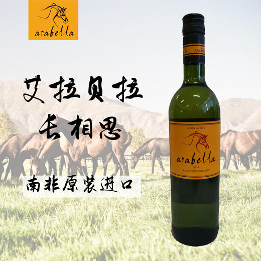 （750ml*6瓶装）南非葡萄酒艾拉贝拉Arabella红酒原瓶原装南非进口 商品图4