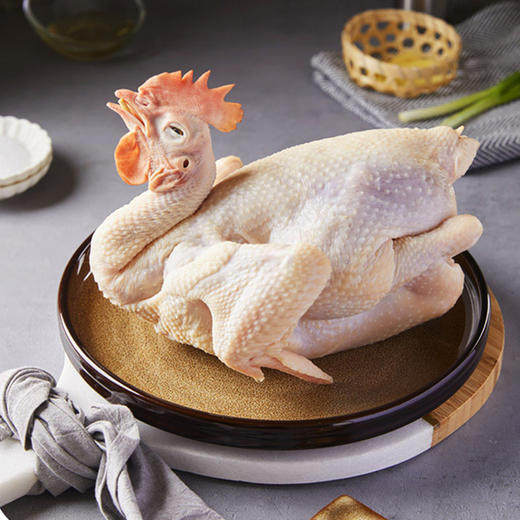 清远鸡 商品图0