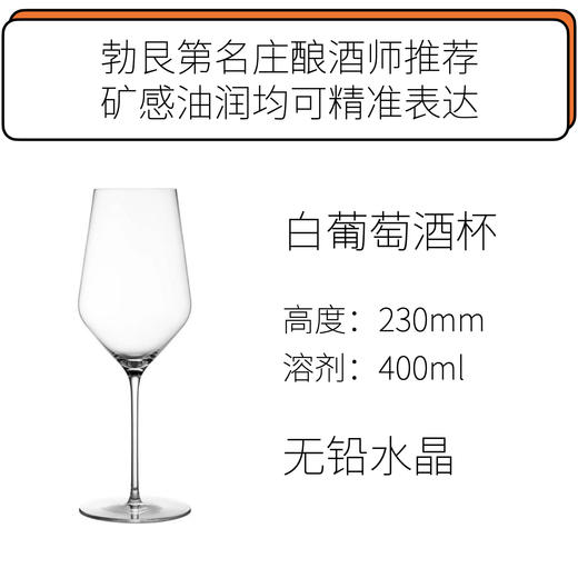 Zalto 白葡萄酒杯 Zalto Denk Art White Wine 商品图0