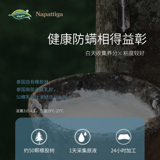 【海南保税仓直发】Napattiga防螨高低颈椎颗粒枕(95胶) 商品图1