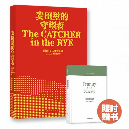 麦田里的守望者 商品图0