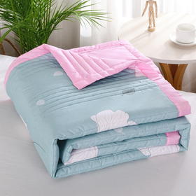 【严选厂货 冲击底价】夏季可机洗空调夏凉被