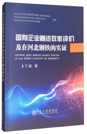 国有企业融资效率评价及在河北钢铁的实证/丁超,都沁军,张永礼