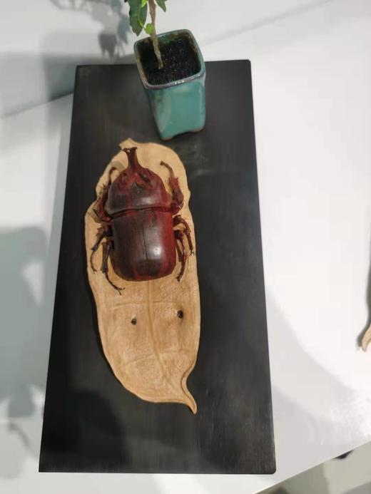 富甲一方°小叶紫檀摆件 商品图0