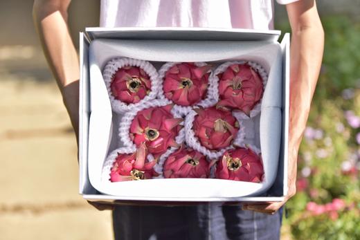 攀枝花有机火龙果 5斤装特级果 商品图1