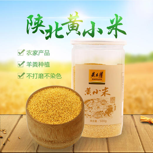 黄土情 桶装黄小米500g 商品图1