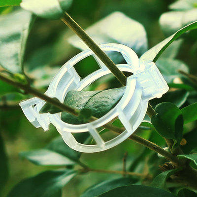 [园艺资材] 爬藤藤本植物卡扣环植物固定器 商品图0