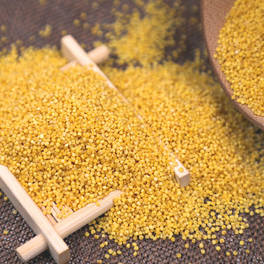 黄土情真空装黄小米2.5kg 商品图7