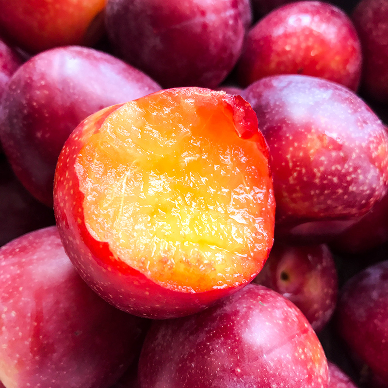 美国进口樱桃李约500g盒1012颗