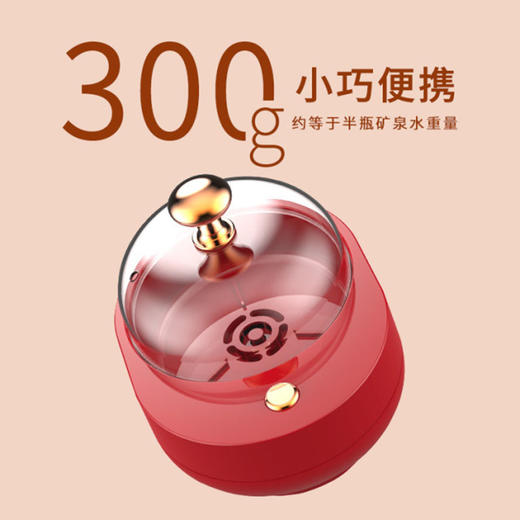 【0.1元+10000积分兑换】丨花胶燕窝温热器 商品图2