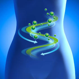 臻皙益生菌通过三种维度死死锁住易瘦体质！