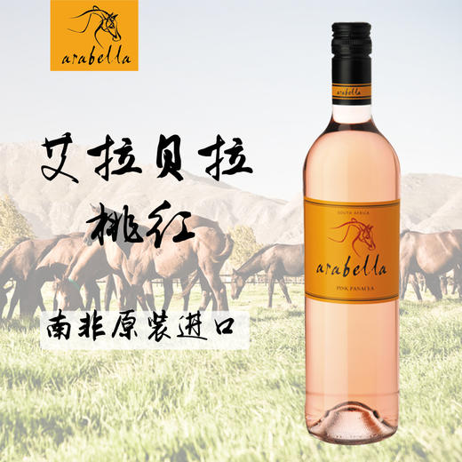 （750ml*6瓶装）南非葡萄酒艾拉贝拉Arabella红酒原瓶原装南非进口 商品图2