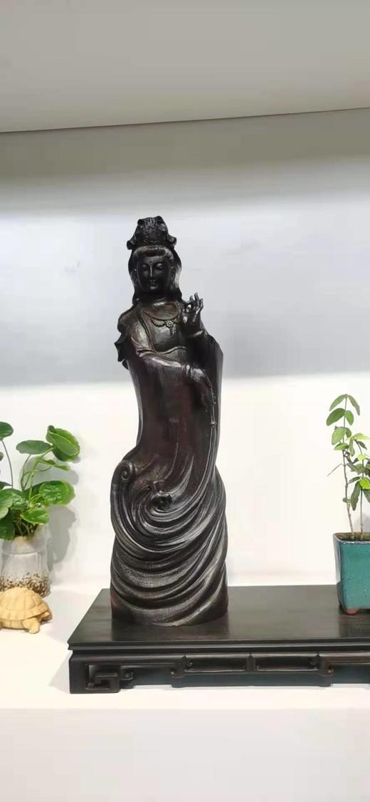 28cm观音小叶紫檀 商品图0