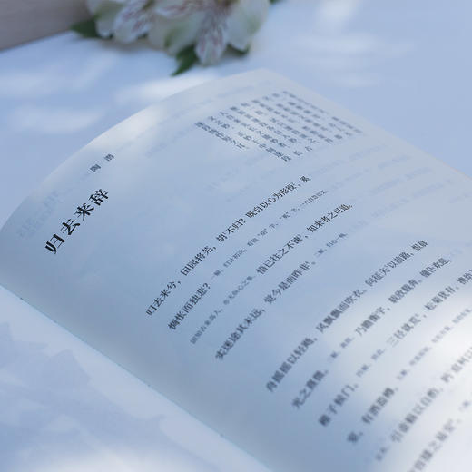 《金圣叹选批天下才子必读书》木盒精装全3册 | 才子的自我修养指南 商品图5