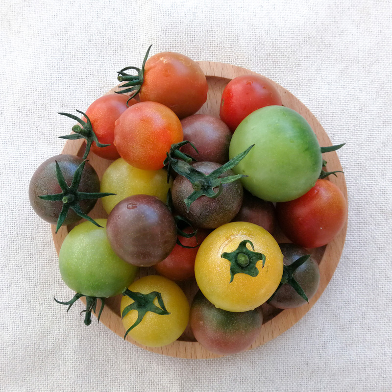 溯朴时蔬缤纷菜箱 蔬菜包邮 4kg