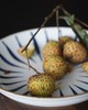 大口荔枝| 广东樟木头百年老树观音绿荔枝 7.27发货 商品缩略图5