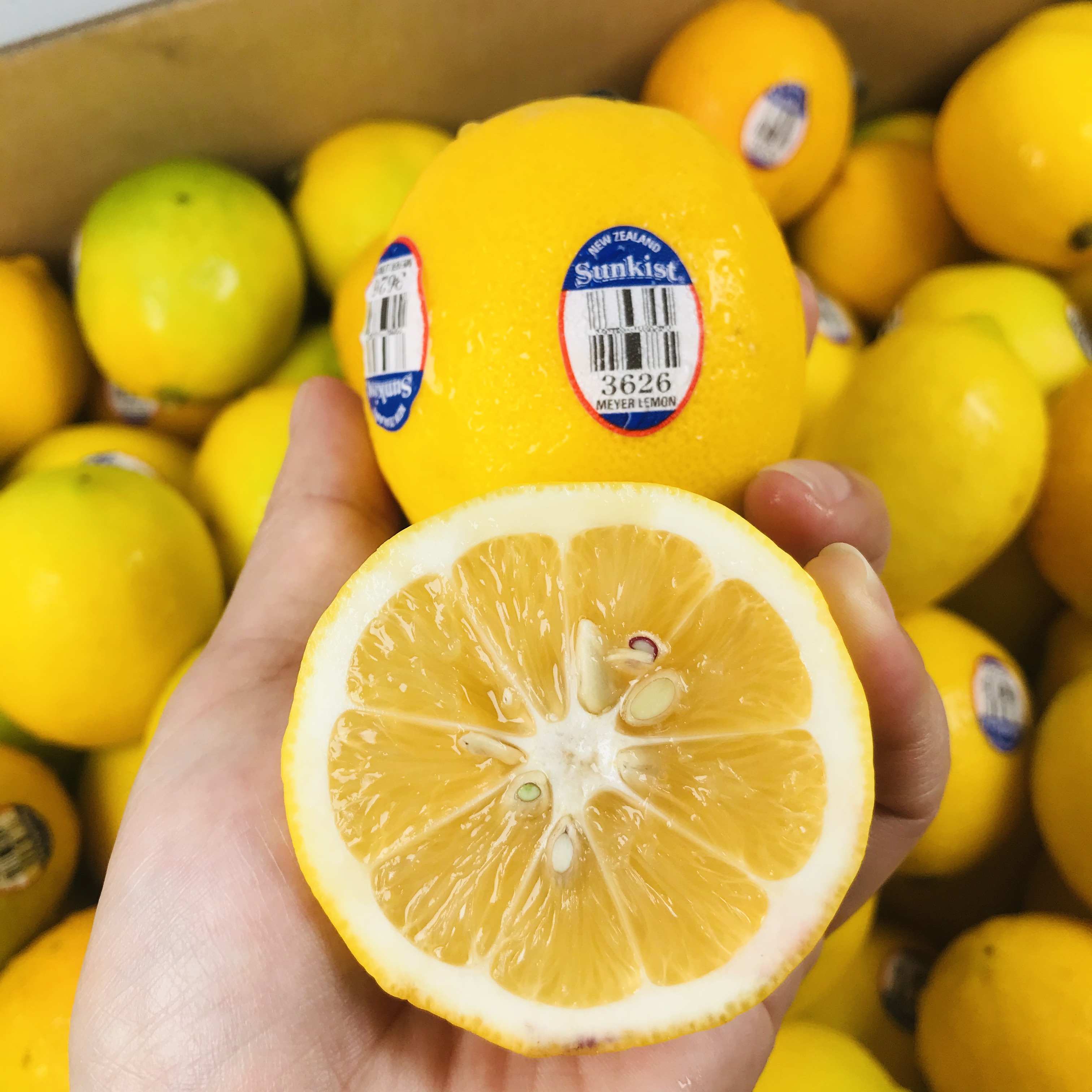 新西兰新奇士柠檬10颗份单果重95110g左右水分多果肉细腻柠檬香十足