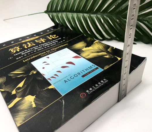 算法导论（原书第3版）机械工业出版社 正版书籍 商品图5